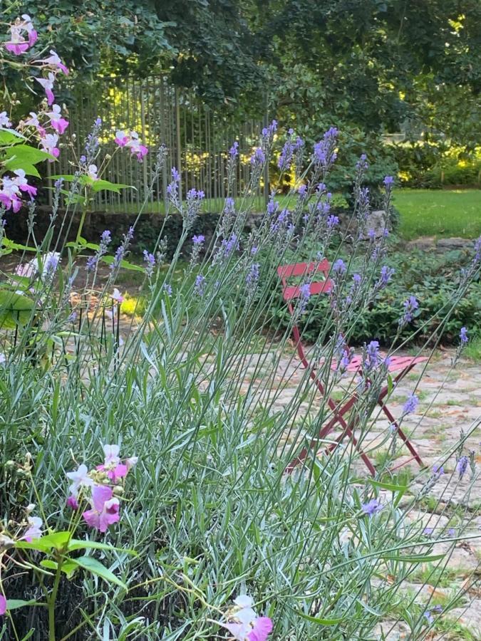 Moulin De Champrond -Montmirail -Sarthe Bed & Breakfast Exterior foto
