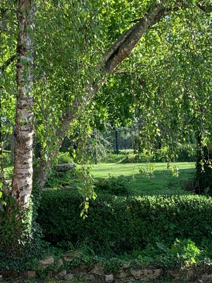 Moulin De Champrond -Montmirail -Sarthe Bed & Breakfast Exterior foto
