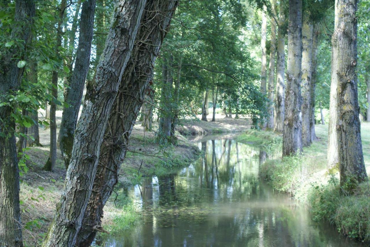 Moulin De Champrond -Montmirail -Sarthe Bed & Breakfast Exterior foto