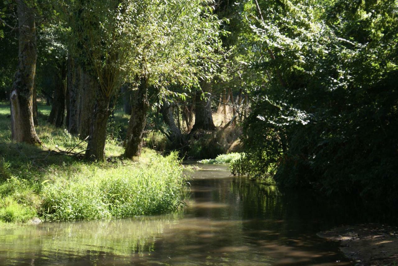 Moulin De Champrond -Montmirail -Sarthe Bed & Breakfast Exterior foto