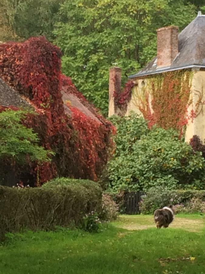 Moulin De Champrond -Montmirail -Sarthe Bed & Breakfast Exterior foto