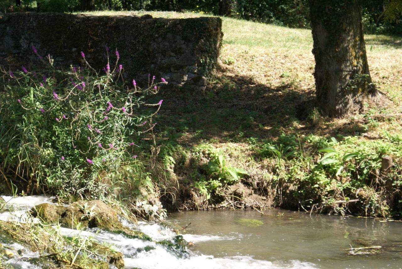 Moulin De Champrond -Montmirail -Sarthe Bed & Breakfast Exterior foto